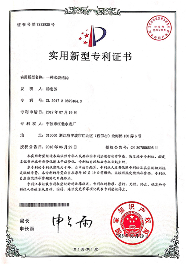 實用新型專利-水表結(jié)構(gòu)